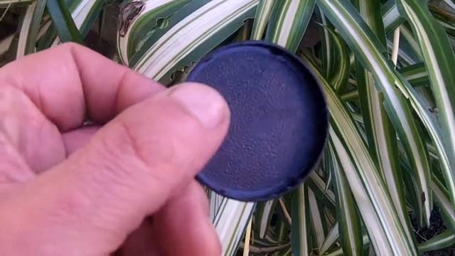 Tapa Lente Industar 69 28 mm смотреть онлайн