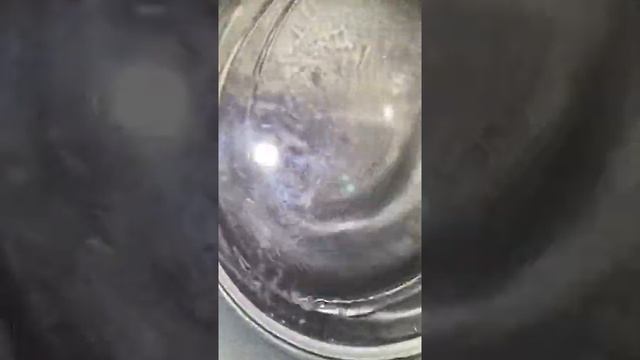 Miele WCR860 - 1600 rpm Final spin смотреть онлайн
