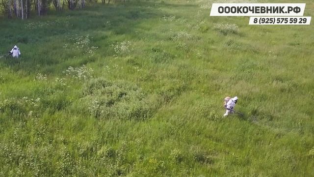 Химическая обработка от ДКР. Расширение полосы отвода ЛЭП. РАСЧИСТКА ЗЕМЕЛЬ. ОООКОЧЕВНИК смотреть онлайн