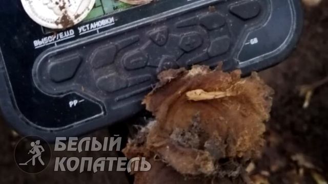 НАШЛИ КОШЕЛЁК ЦАРСКОГО СЕРЕБРА ... С ОСТАТКАМИ КОЖИ !!!