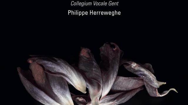 Miserere, Psalm 50 смотреть онлайн