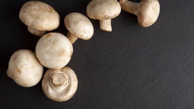 Top 5 Vegetarian Restaurants In Prague