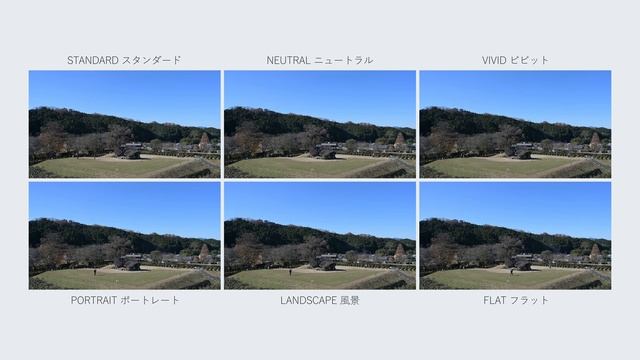 Nikon Picture Controls 4K | Nikon Z7