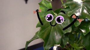 Everything Is Better With Doodles - WHAT DID I EAT? #5