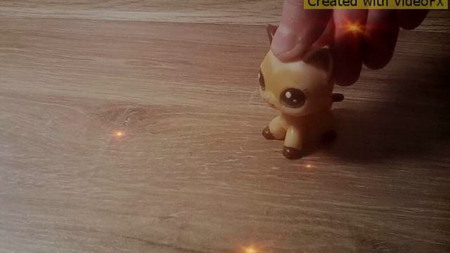 Lps клип~аманда~линда и~роуз!?❤ смотреть онлайн