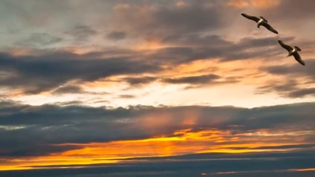 Я тебе подарю эту песню... смотреть онлайн