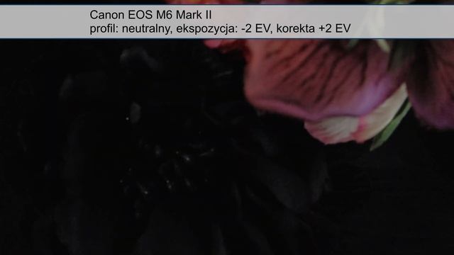 Canon EOS M6 Mark II - test trybu filmowego смотреть онлайн