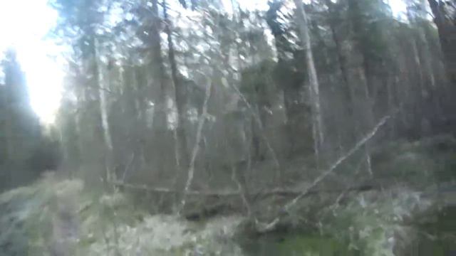 Выход со Стрункой и Плакуном 26 04 2020 смотреть онлайн