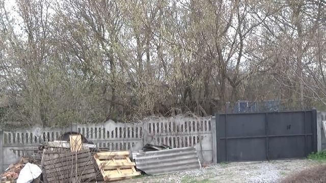 Купили саженцы, Клубника, Малина, Барбарис на посадку, Обзор Что выросло, Шаповаловы, Кропивницкий. смотреть онлайн