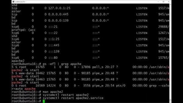 Разжёванный курс по Linux для чайников.  Часть 2_2