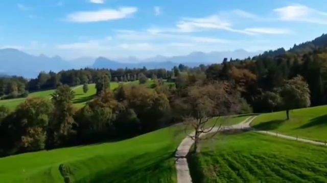 " Держите дистанцию " смотреть онлайн