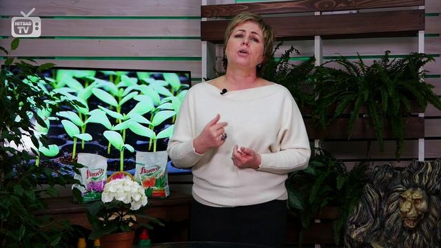 Спрашивали? Отвечаем! ? Препараты СИЯНИЕ 1, 2, 3 совместимость смотреть онлайн