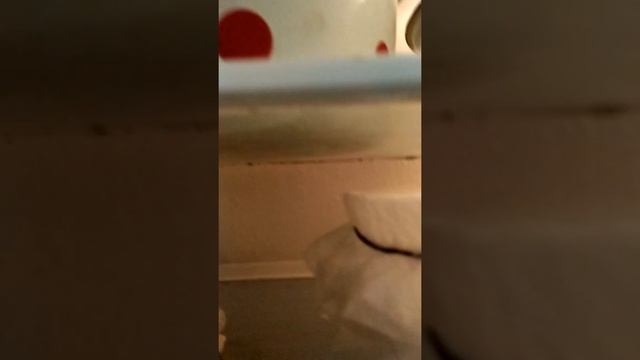 Температурный режим в холодильнике смотреть онлайн