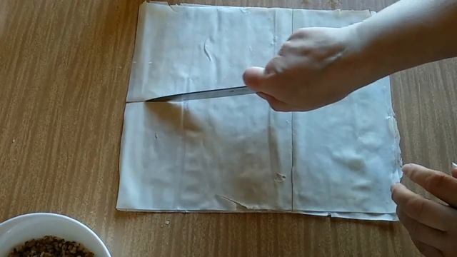 ТРУБОЧКИ с орехами из теста Филло//Воздушные и слоёные. смотреть онлайн