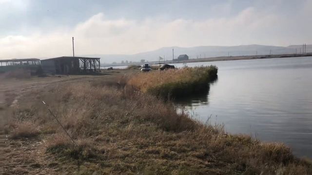 Просянка, водоём разлив, буди карпфишинга смотреть онлайн