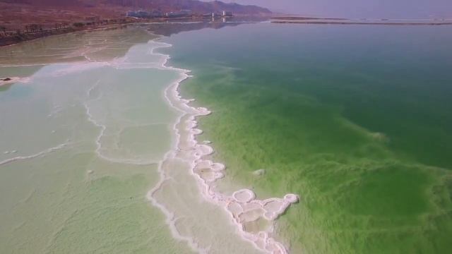 Мастерство в Творчестве