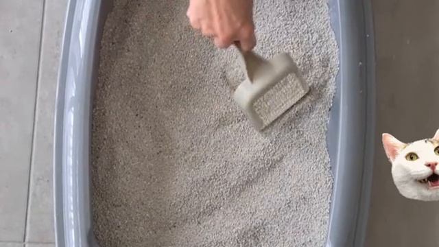 хотел стать археологом смотреть онлайн