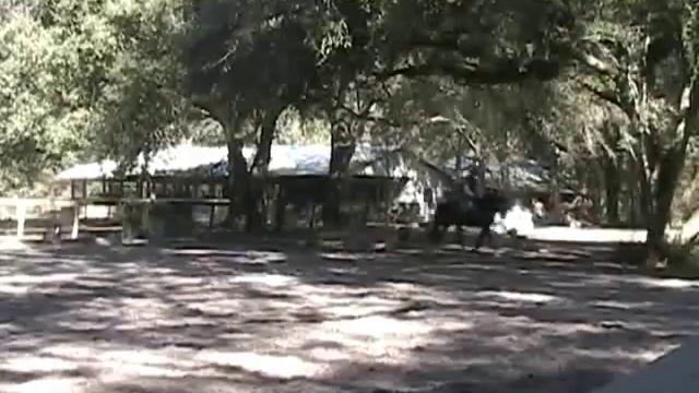 ensign1 смотреть онлайн