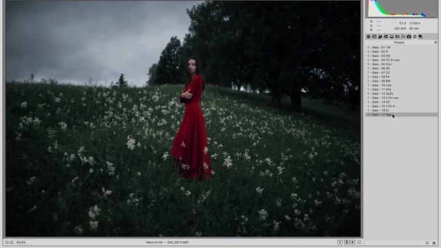 «Gala» - Lightroom & ACR Preset Pack - Marat Safin смотреть онлайн