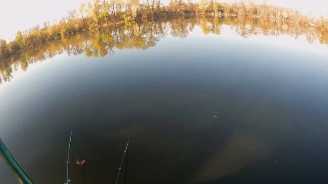 Ловля КАРПА и КАРАСЯ весной. На что ЛОВИТЬ, чем КОРМИТЬ. смотреть онлайн