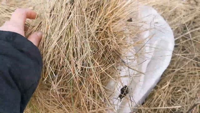 Неужели весна пришла. Домашние хлопоты. Жизнь простых людей. Украина.