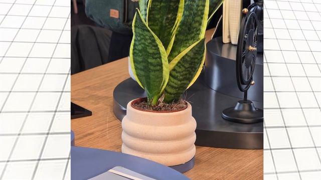 Samsung Galaxy S24 Ultra - Screen Issues (Washed Out) смотреть онлайн