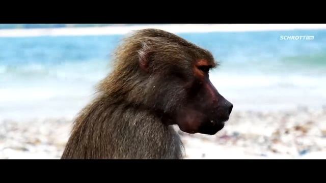 Тайланд отдых Острова Тайланда смотреть онлайн