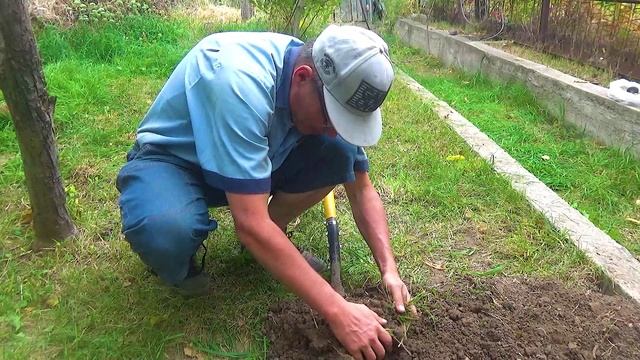 2 Начну мыть камушек в воде (1).mp4 смотреть онлайн