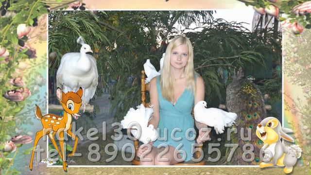 Видеоролик поздравление на свадьбу от родственников смотреть онлайн