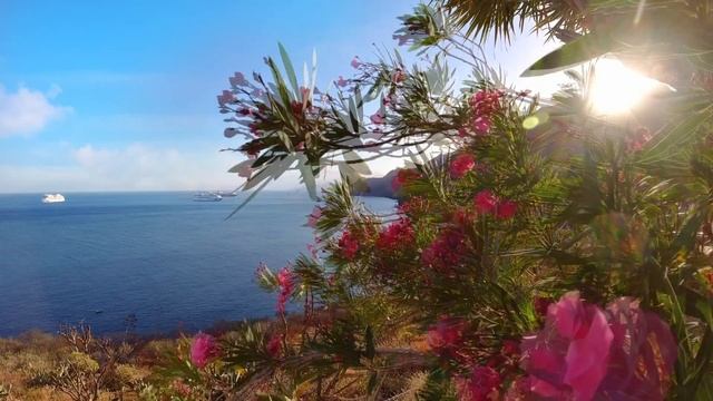 Красота Моря, птицы и цветы! Звуки природы,красивая музыка! Relaxing Nature Sounds смотреть онлайн
