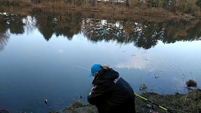 Чуть не сорвалась рыбалка на Обводном канале! смотреть онлайн