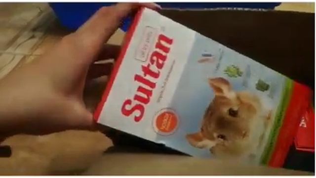 Покупки в зоомагазине смотреть онлайн