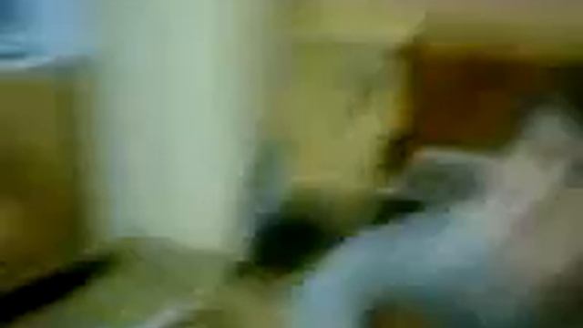 ободранный Кот смотреть онлайн