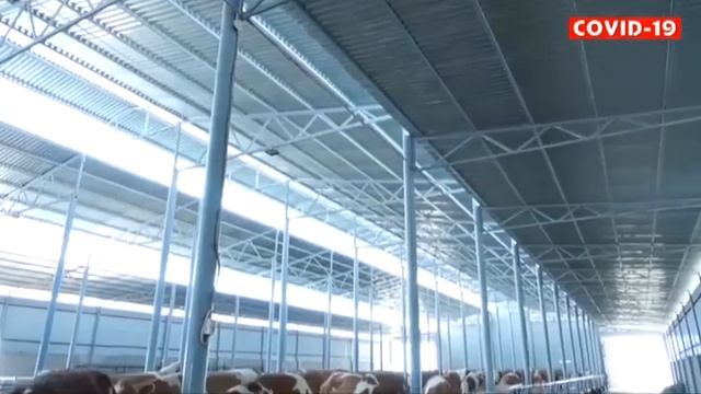 Diyor Informatsion Dasturi ǀ Surxondaryo Viloyati