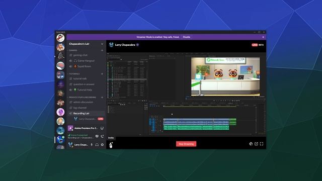 How to Stream & Screenshare on Discord - Updated 2020 Tutorial смотреть онлайн