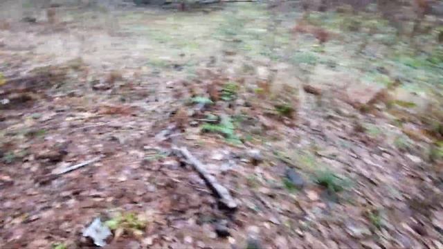 1-й ноябрьский металлоКОП по чёрнине на старой дороге, шурф грунта, странный скворечник и муравейни смотреть онлайн