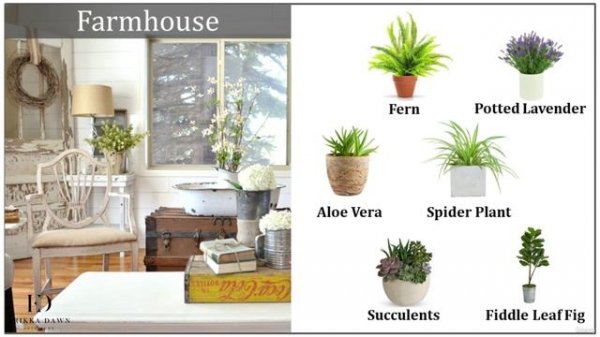 40 - Best Plants for Every Design Style