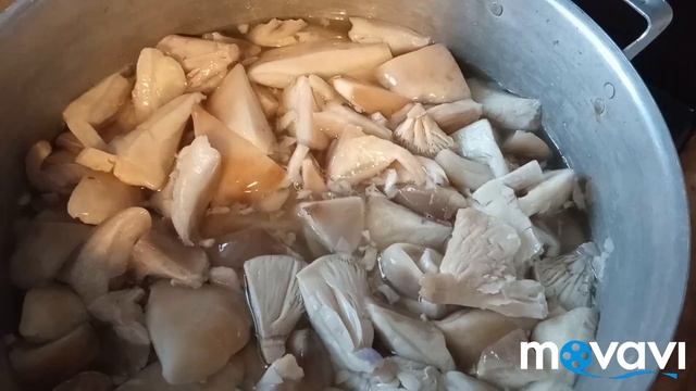 Простой способ замораживания грибов на зиму) смотреть онлайн