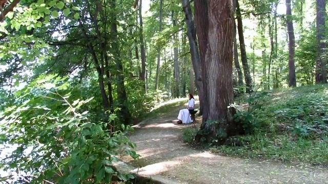 Спасское - Лутовиново. Музей - усадьба И. С. Тургенева. смотреть онлайн