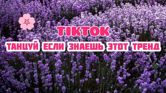 💜ТАНЦУЙ ЕСЛИ ЗНАЕШЬ ЭТОТ ТРЕНД💛МУЗЫКА ДЛЯ ФЛЕШМОБА💫 смотреть онлайн