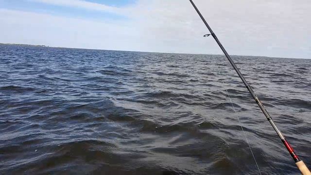 Рыбалка на Финском заливе. Отчёт за 10.09.2023. Петергоф-Кронштадт. Подписывайтесь. Одобряйте. Комме