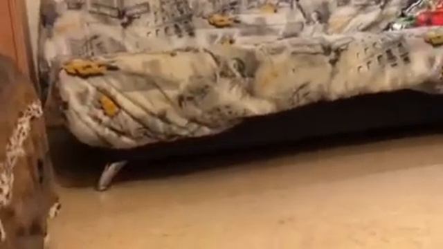 Кто такой савитар? Теория смотреть онлайн