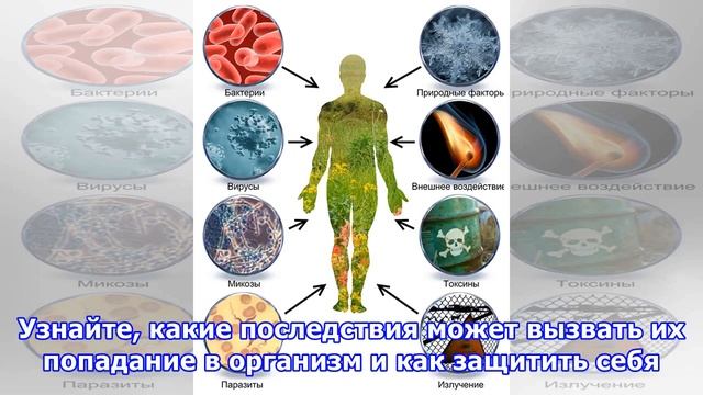 Что происходит, когда плесень попадает в организм смотреть онлайн