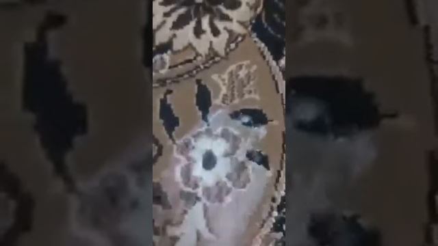 Фада Поверхня смотреть онлайн