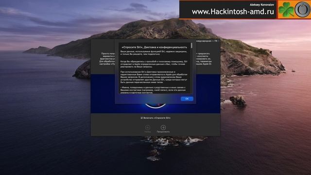 Как удалить историю Siri в macOS Catalina 10.15.1 смотреть онлайн
