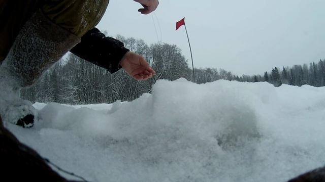 Ловля щуки на жерлицы по первому льду (видео-отчет) зимняя рыбалка 4 января 2016 на зимнюю жерлицу смотреть онлайн