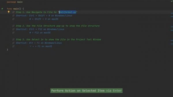 GoLand IDE: Tips and Tricks