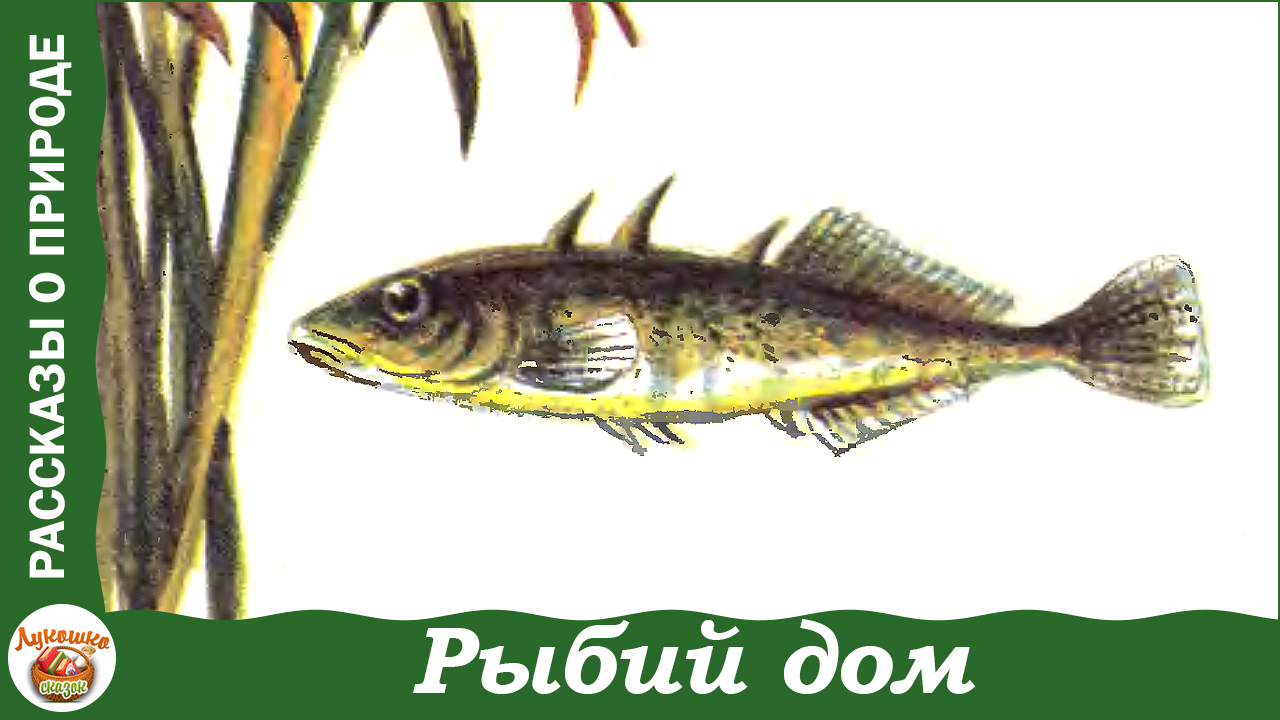Рыбий дом. Сказка Виталия Бианки смотреть онлайн