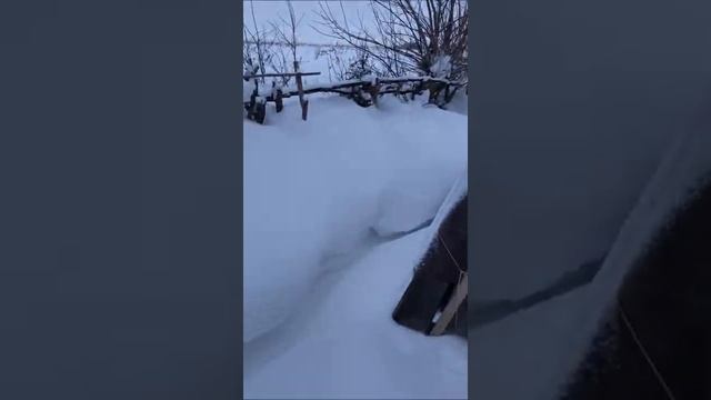 Турецкий улей/колода. Зимовка в средней полосе на улице #Shorts смотреть онлайн