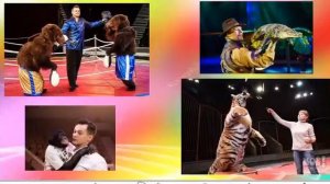 Профессии цирка